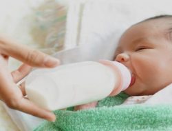 8 Syarat Kandungan Susu Formula Bayi yang Mendekati ASI
