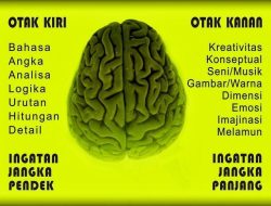 Cara Kerja Otak Pria dan Wanita Dalam Melihat Cinta