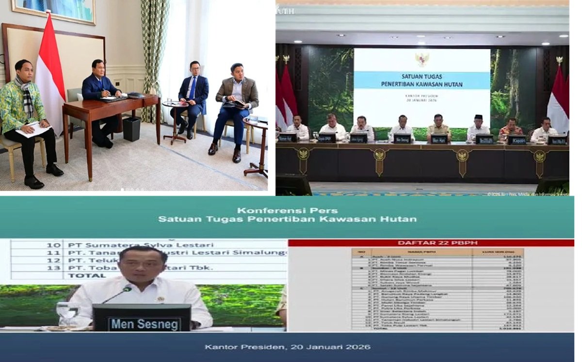 28 Perusahaan Di Aceh, Sumut dan Sumbar Dicabut Ijinnya Karena Investigasi